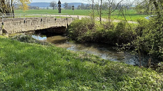 Alte Hüttenbachbrücke aus 1925
