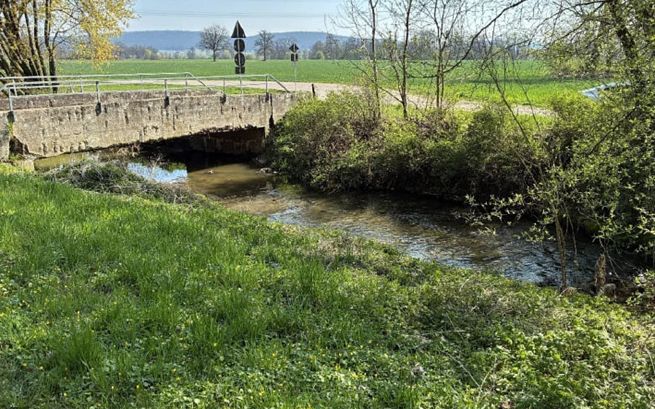 Alte Hüttenbachbrücke aus 1925